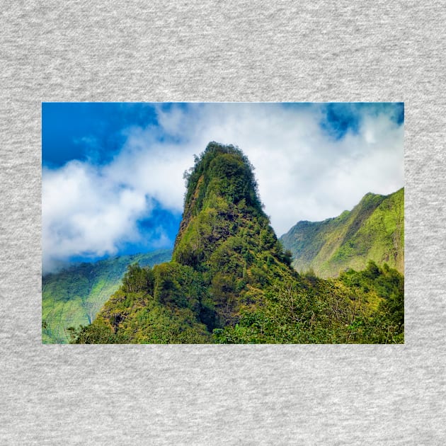 Iao Valley State Monument Study 1 by bobmeyers